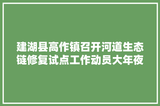 建湖县高作镇召开河道生态链修复试点工作动员大年夜会