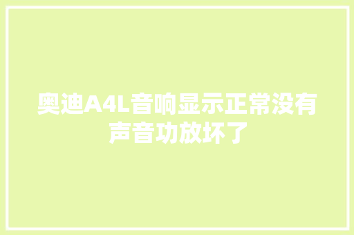 奥迪A4L音响显示正常没有声音功放坏了
