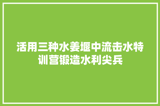 活用三种水姜堰中流击水特训营锻造水利尖兵