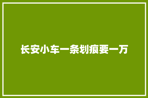 长安小车一条划痕要一万