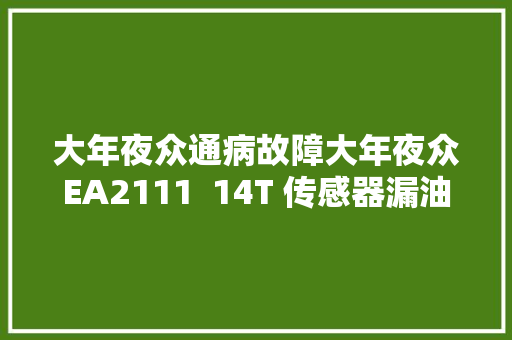 大年夜众通病故障大年夜众EA2111  14T 传感器漏油