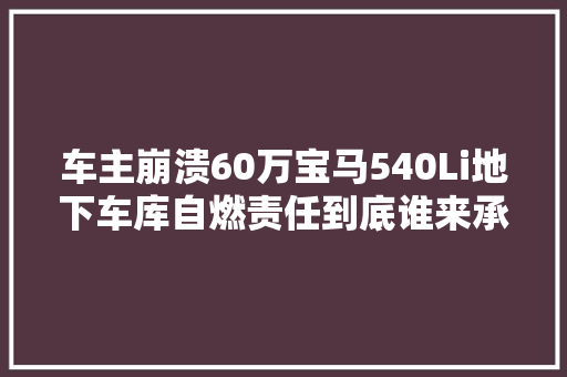 车主崩溃60万宝马540Li地下车库自燃责任到底谁来承担