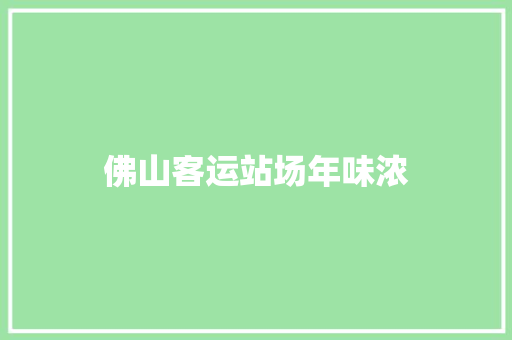 佛山客运站场年味浓