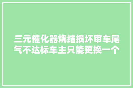 三元催化器烧结损坏审车尾气不达标车主只能更换一个全新的