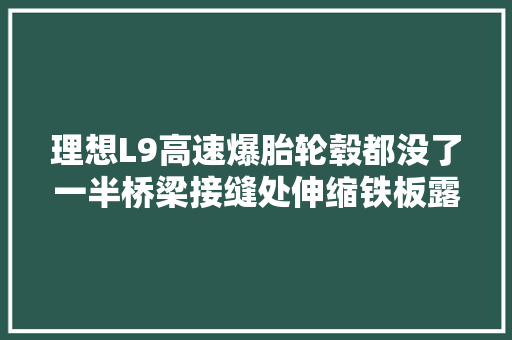 理想L9高速爆胎轮毂都没了一半桥梁接缝处伸缩铁板露出路政全赔