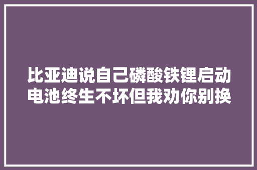 比亚迪说自己磷酸铁锂启动电池终生不坏但我劝你别换