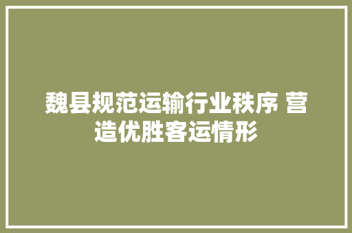 魏县规范运输行业秩序 营造优胜客运情形