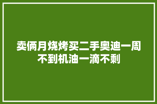卖俩月烧烤买二手奥迪一周不到机油一滴不剩 汽车知识