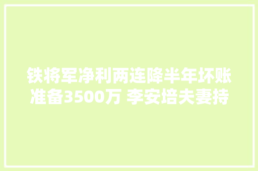 铁将军净利两连降半年坏账准备3500万 李安培夫妻持股93公司治理存隐患