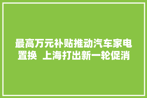 最高万元补贴推动汽车家电置换  上海打出新一轮促消费组合拳