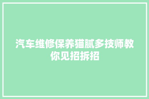 汽车维修保养猫腻多技师教你见招拆招