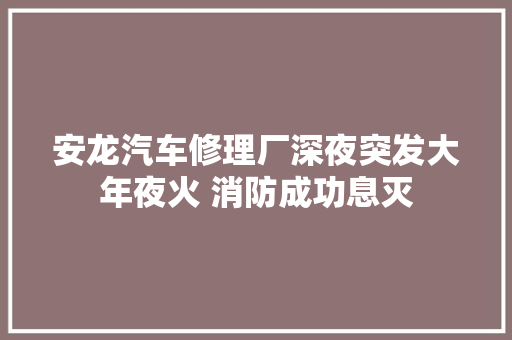 安龙汽车修理厂深夜突发大年夜火 消防成功息灭