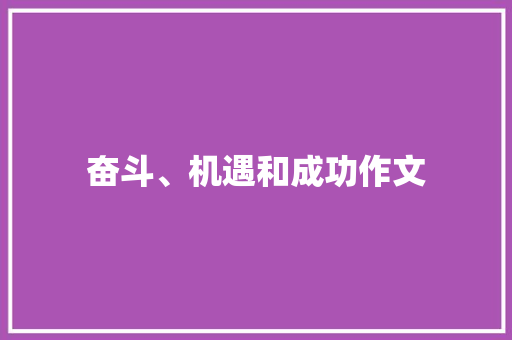 奋斗、机遇和成功作文