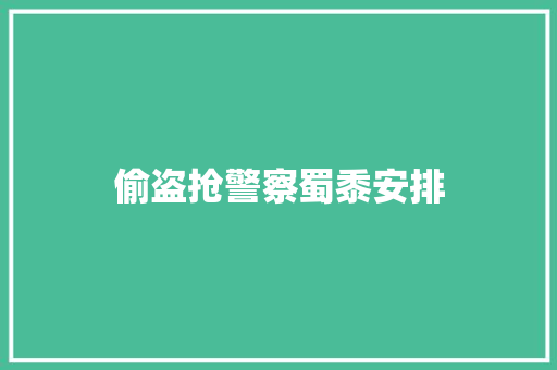 偷盗抢警察蜀黍安排