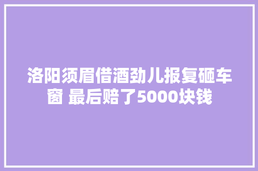 洛阳须眉借酒劲儿报复砸车窗 最后赔了5000块钱