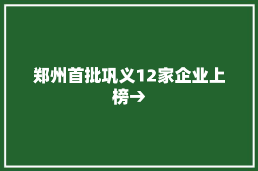 郑州首批巩义12家企业上榜→