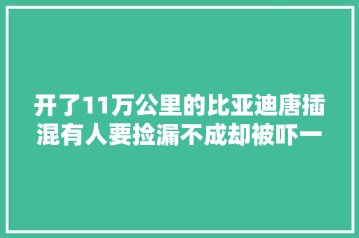开了11万公里的比亚迪唐插混有人要捡漏不成却被吓一跳