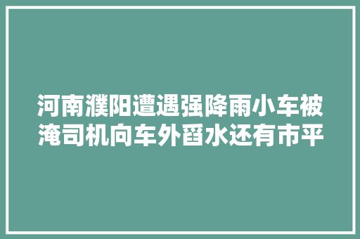 河南濮阳遭遇强降雨小车被淹司机向车外舀水还有市平易近到街上拍浮