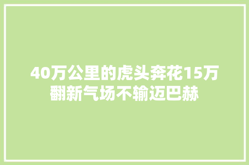 40万公里的虎头奔花15万翻新气场不输迈巴赫