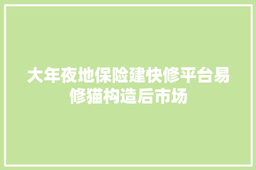 大年夜地保险建快修平台易修猫构造后市场