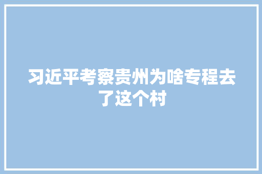 习近平考察贵州为啥专程去了这个村