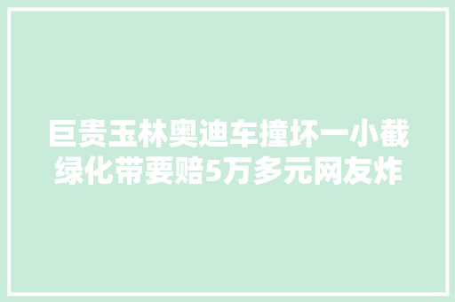 巨贵玉林奥迪车撞坏一小截绿化带要赔5万多元网友炸了
