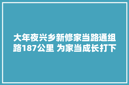 大年夜兴乡新修家当路通组路187公里 为家当成长打下坚实根本