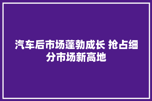 汽车后市场蓬勃成长 抢占细分市场新高地