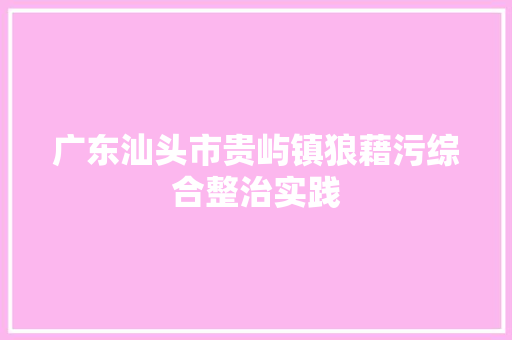广东汕头市贵屿镇狼藉污综合整治实践