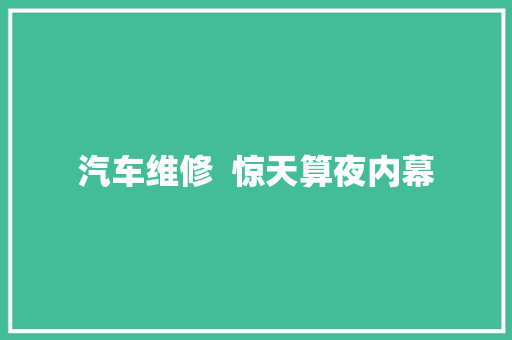 汽车维修  惊天算夜内幕