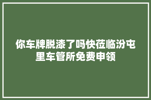你车牌脱漆了吗快莅临汾屯里车管所免费申领