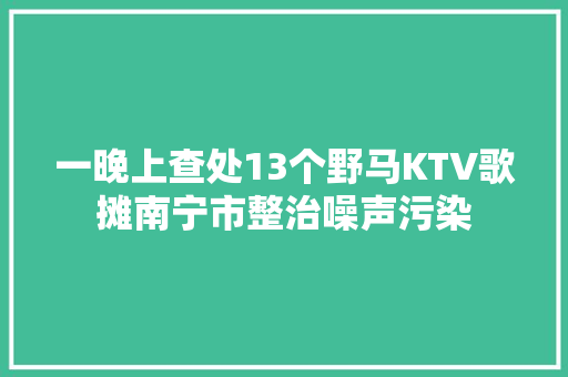 一晚上查处13个野马KTV歌摊南宁市整治噪声污染