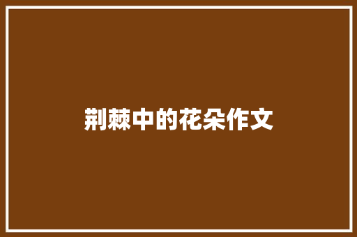 荆棘中的花朵作文