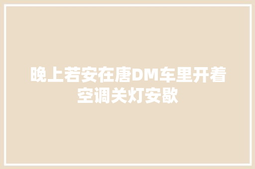 晚上若安在唐DM车里开着空调关灯安歇