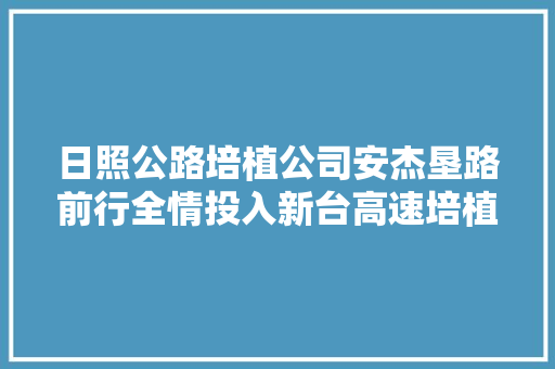日照公路培植公司安杰垦路前行全情投入新台高速培植
