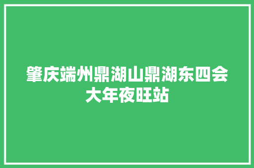 肇庆端州鼎湖山鼎湖东四会大年夜旺站