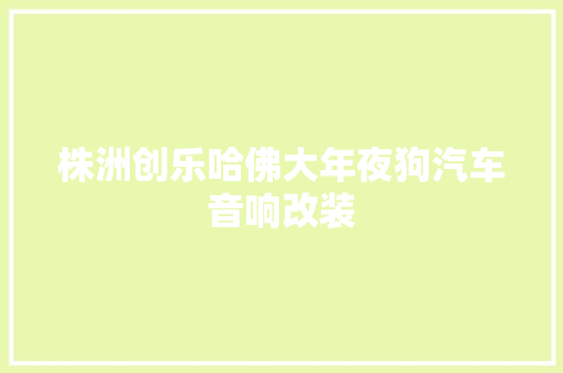 株洲创乐哈佛大年夜狗汽车音响改装