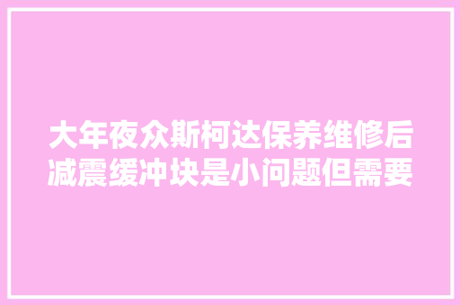 大年夜众斯柯达保养维修后减震缓冲块是小问题但需要花费数百元