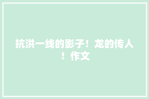 抗洪一线的影子！龙的传人！作文