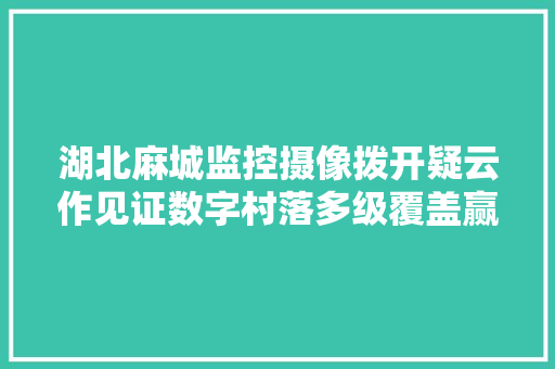 湖北麻城监控摄像拨开疑云作见证数字村落多级覆盖赢口碑