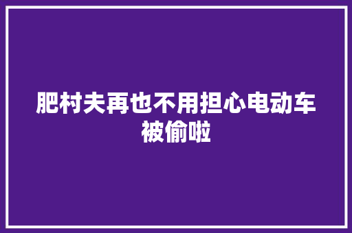 肥村夫再也不用担心电动车被偷啦