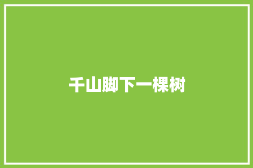 千山脚下一棵树