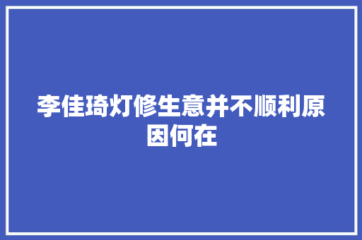 李佳琦灯修生意并不顺利原因何在 汽车知识