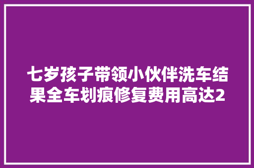 七岁孩子带领小伙伴洗车结果全车划痕修复费用高达2000元