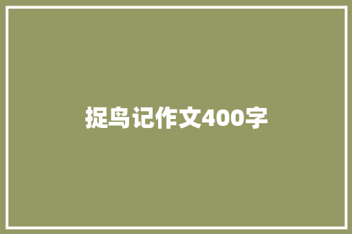 捉鸟记作文400字