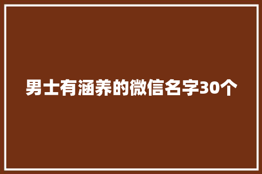 男士有涵养的微信名字30个