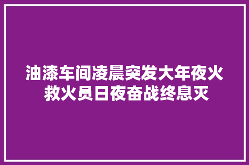油漆车间凌晨突发大年夜火 救火员日夜奋战终息灭