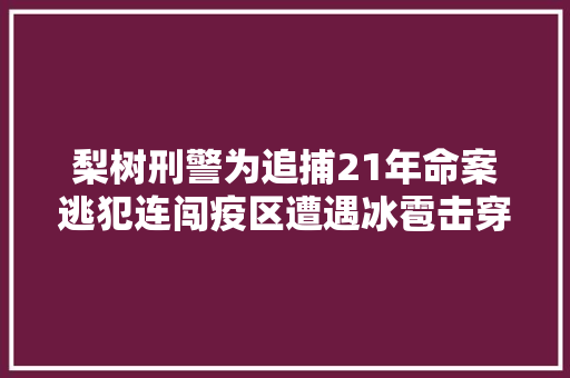 梨树刑警为追捕21年命案逃犯连闯疫区遭遇冰雹击穿车玻璃 汽车知识
