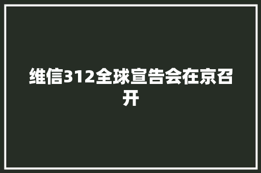 维信312全球宣告会在京召开