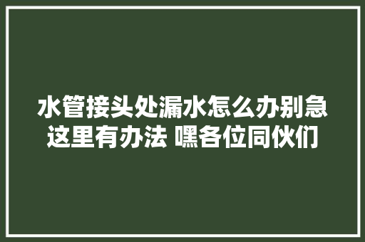 水管接头处漏水怎么办别急这里有办法 嘿各位同伙们